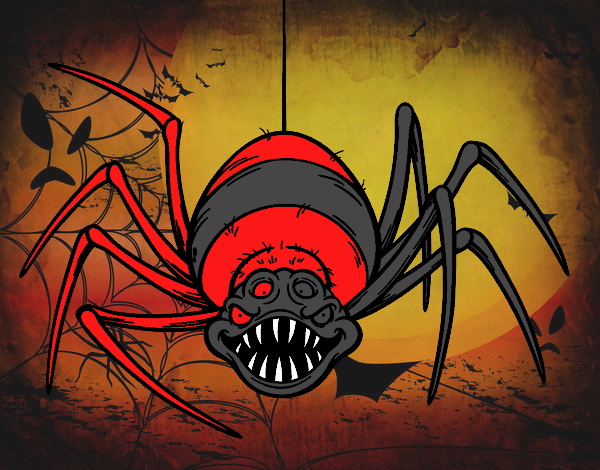 red black spider