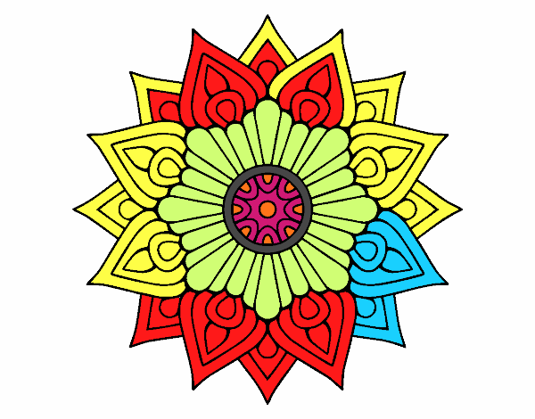 A floral flash mandala