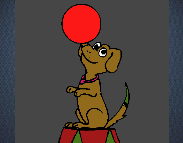 Colored page Circus dog painted by User not registered