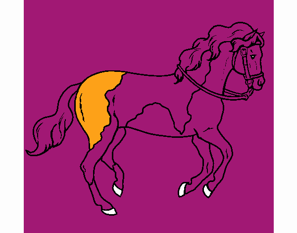 Horse turning into purple