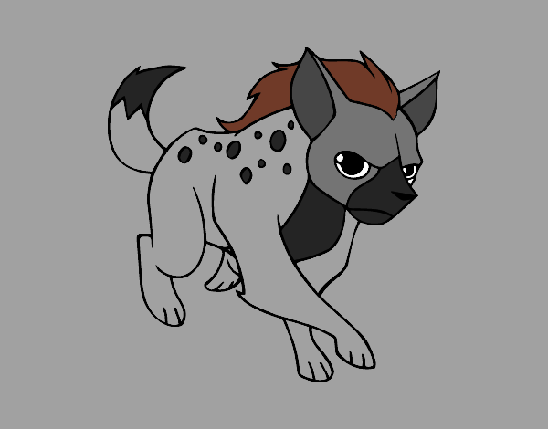 A hyena