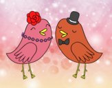 Wedding birds