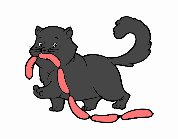 Cat with sausage