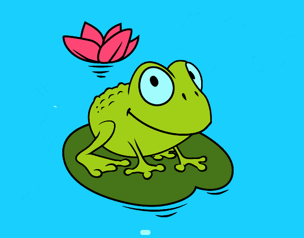 Frog and water lily