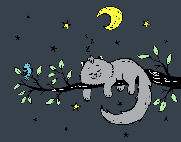 The cat and the moon