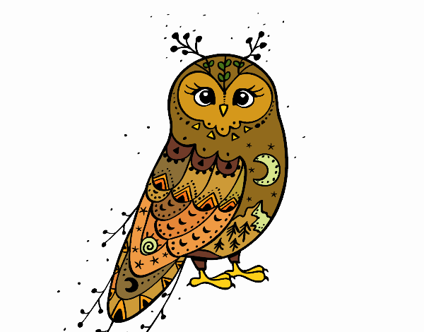 Winter Barn owl