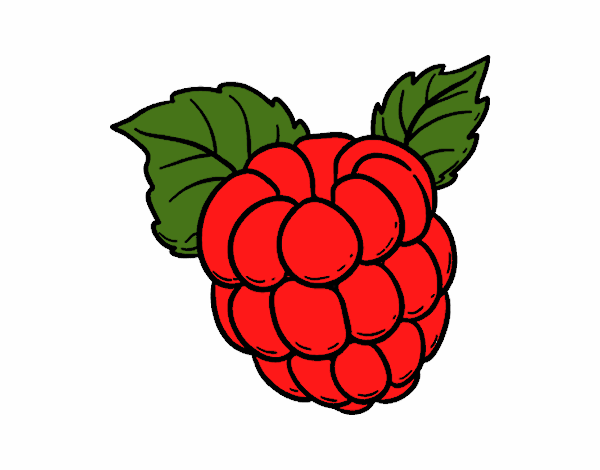 Colored page Raspberry painted by User not registered