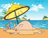 Piglet on the beach