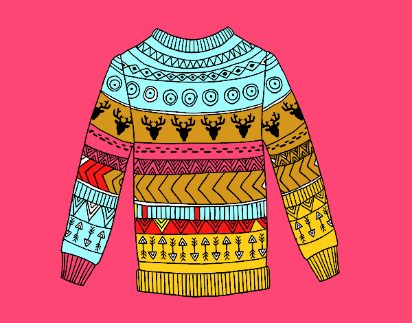Printed wool sweater
