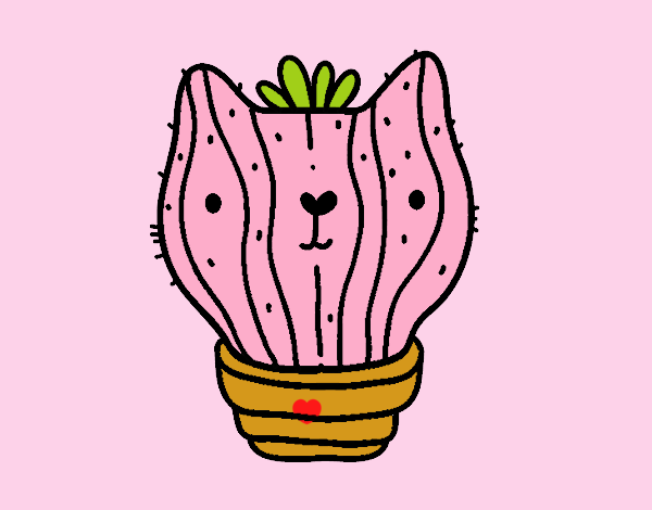 Cat cactus