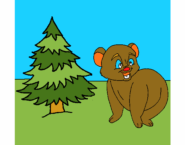 bears cartoon