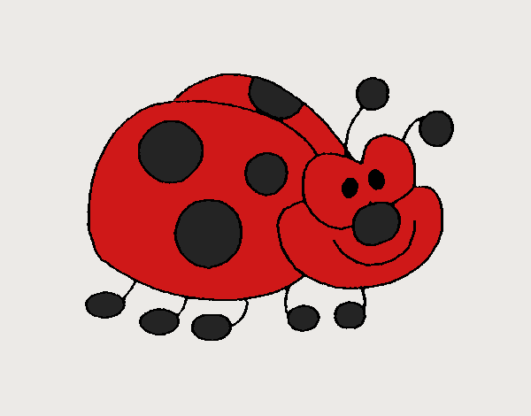 Funny ladybird