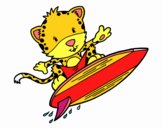 Surfer cheetah