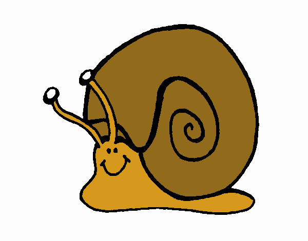 Snail 1