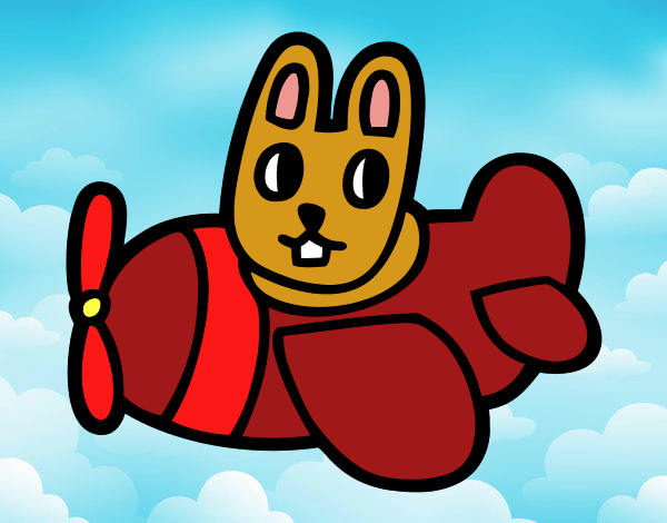 Rabbit in plane