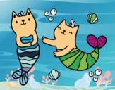 Mermaid cats