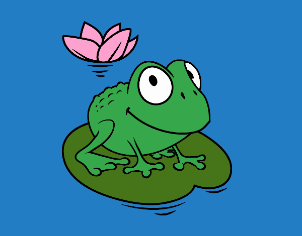 Frog and water lily