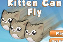 Play to Kitten can fly of the category Ability games