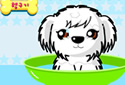 Play to The puppy of the category Girl games