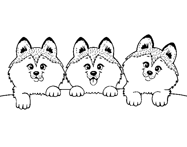 3 puppies coloring page