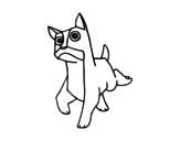 Dibujo de A Boxer dog