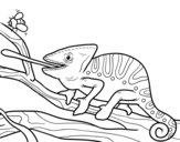 A chameleon with the tongue out coloring page
