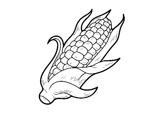 A corncob coloring page