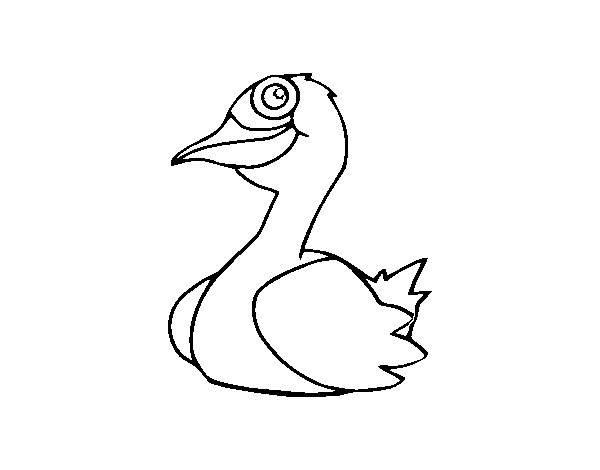 A duck coloring page