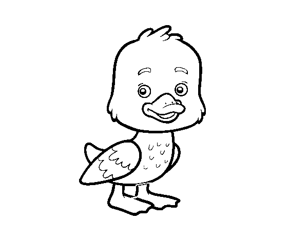 A duckling coloring page