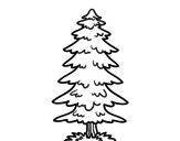 A fir coloring page