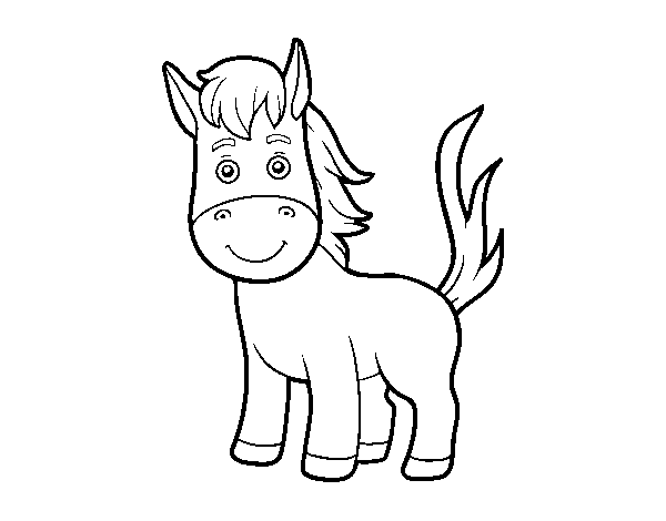 A foal coloring page