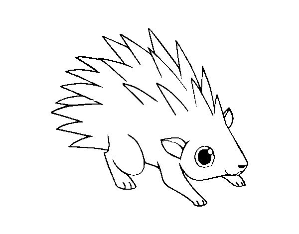 A hedgehog coloring page