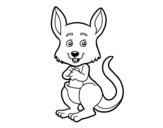 A kangaroo coloring page