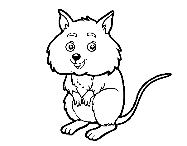 A little hamster coloring page