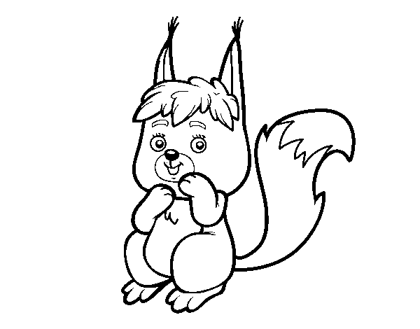 A little squirrel coloring page