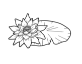 A lotus flower coloring page