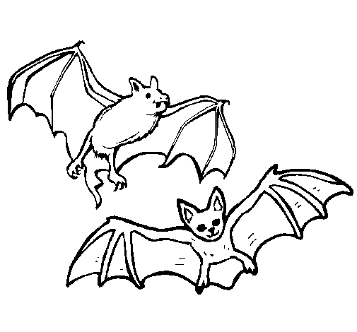 A pair of bats coloring page