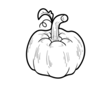 A pumpkin Cucurbita coloring page