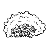 A shrub coloring page