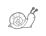 A snail coloring page