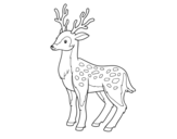 A young deer coloring page
