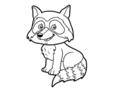 A young raccoon coloring page