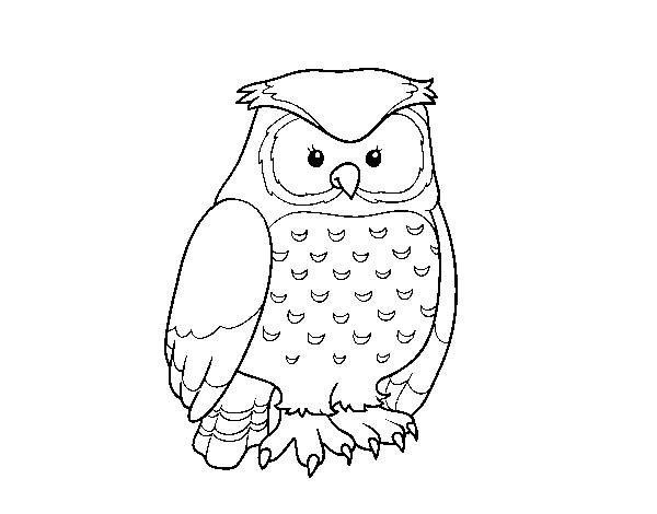 Adult owl coloring page