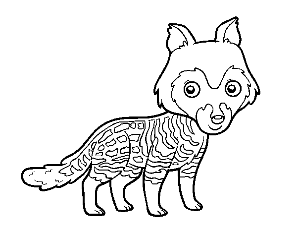 African civet coloring page