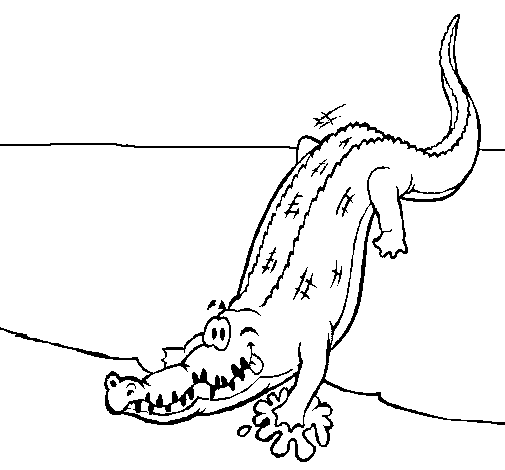 Alligator entering water coloring page