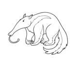 An Aardvark coloring page