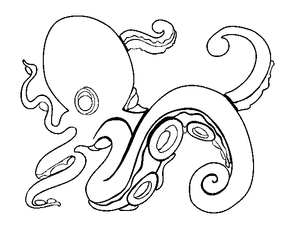 Angry Octopus coloring page