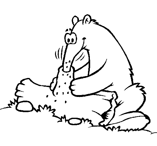 Anteater eating coloring page