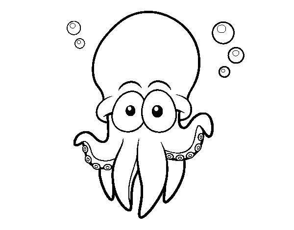 Atlantic white-spotted octopus coloring page