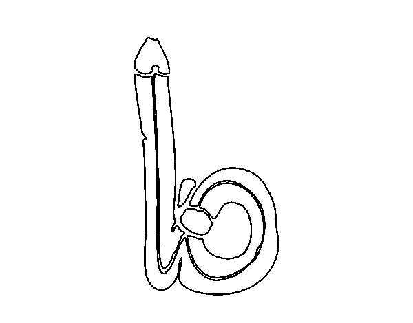 B minuscule coloring page